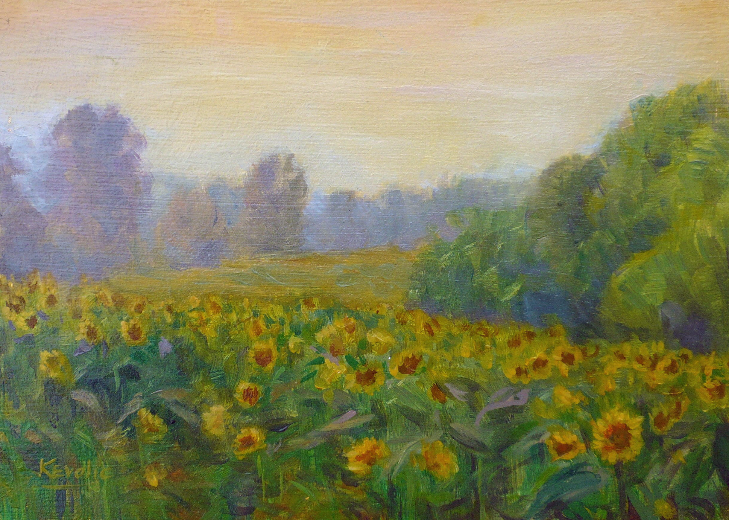 A Field of Sunflowers”