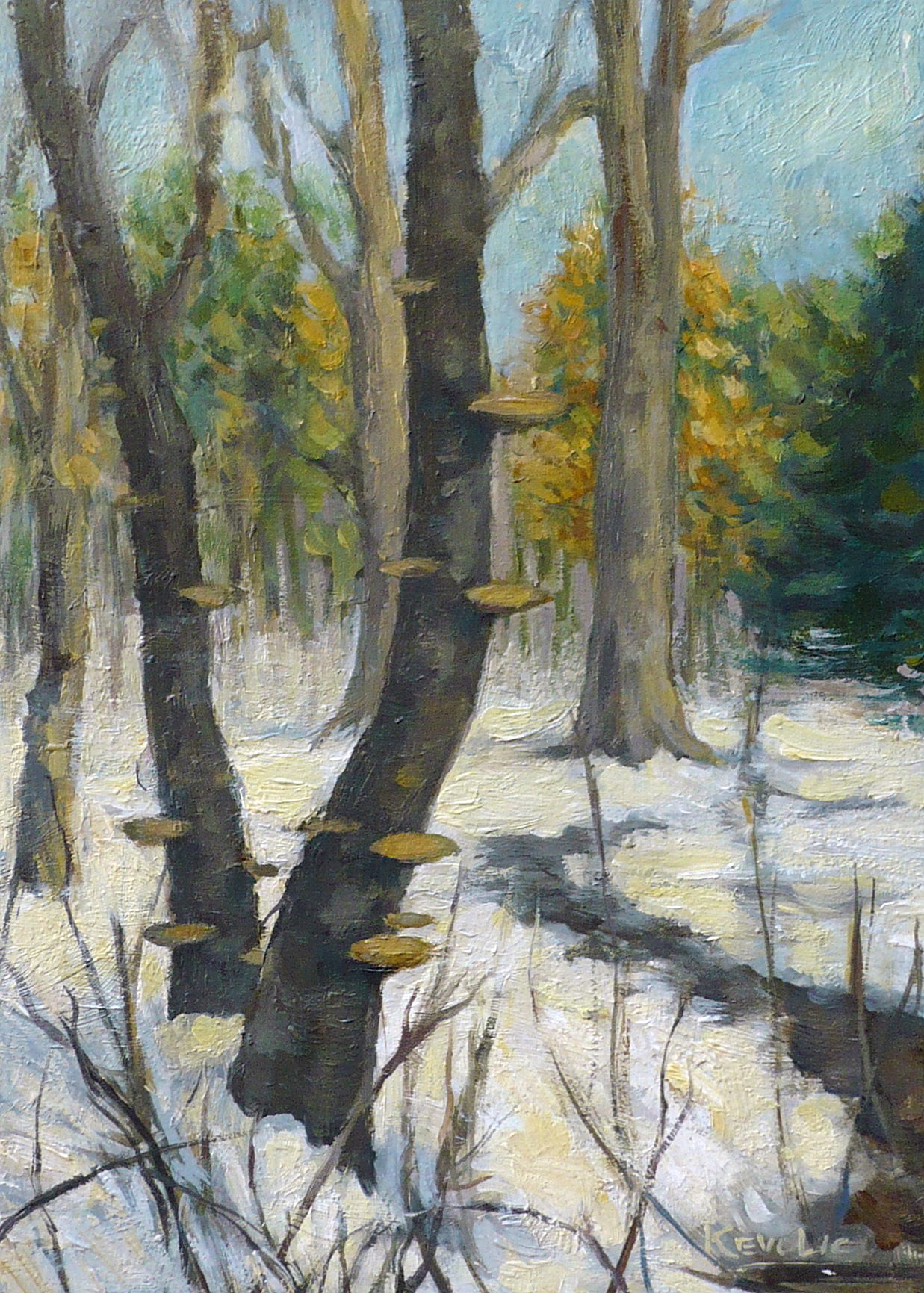 winter-walk