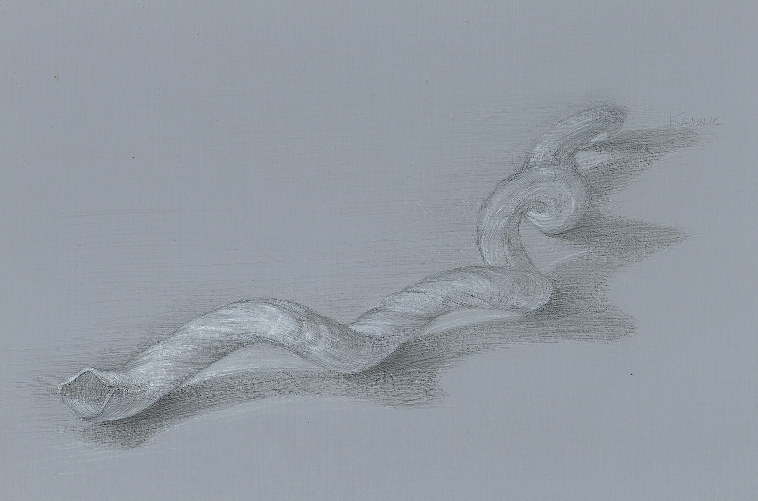 worm-shell
