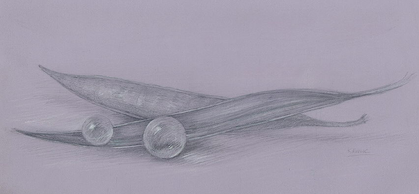 split-peas1