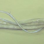 Long & Twisted