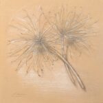 What Were Allium copy